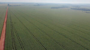 Fazenda Para Venda Em Itaporã Ms