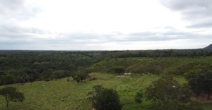 Fazenda Para Venda Em Lizarda To