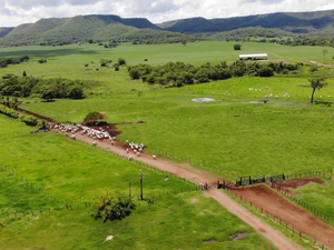 Fazenda Para Venda Em Maracaju Ms