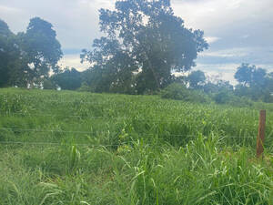 Fazenda Para Venda Em Nioaque Ms