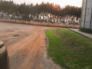 Fazenda Para Venda Em Nova Ubiratã Mt
