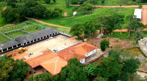 Fazenda Para Venda Em Pirenópolis Go