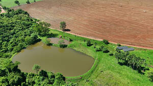 Fazenda Para Venda Em Pontalina Go