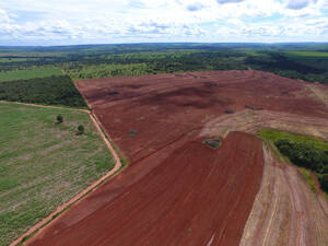 Fazenda Para Venda Em Prata Mg