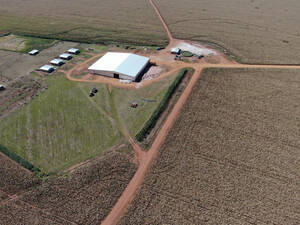 Fazenda Para Venda Em Rio Verde Ms