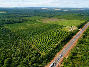 Fazenda Para Venda Em Teresina Pi