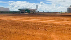 Fazenda Para Arrendamento Em Querência, Mt