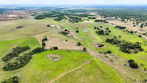 Fazenda Para Venda Pantanal De Cáceres Mt
