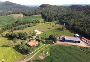 Fazenda Para Venda São Francisco De Goiás - Go