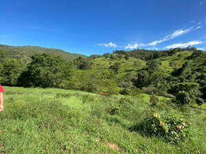 Fazenda À Venda Em Acaba Vida, Go