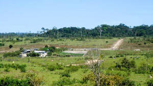 Fazenda À Venda Em Altamira Do Parána Pa