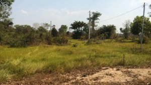 Fazenda À Venda Em Novo Santo Antônio, Mt