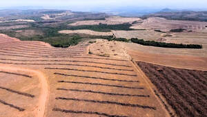 Fazenda Á Venda Em São Gabriel Do Oeste, Ms