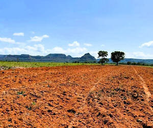 Fazenda Á Venda Em São Gabriel Do Oeste, Ms