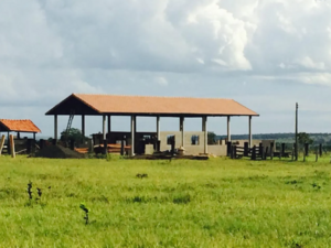 Fazenda À Venda N.a Do Sul, Ms
