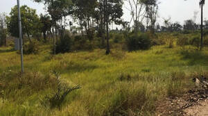 Fazenda à Venda N.S Antônio MT