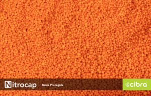 Fertilizante Nitrocap - Ureia Protegida - Cibra