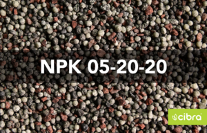 Fertilizante Npk 05-20-20 - Cibra