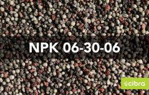 Fertilizante Npk 06-30-06 - Cibra