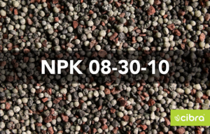 Fertilizante Npk 08-30-10 - Cibra