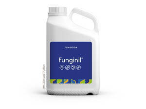 Fungicida Funginil Clorotalonil Agricur