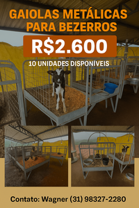 Gaiolas Metálicas Para Bezerros Robustas