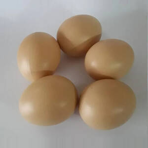 Kit 5 Ovos Falsos Plástico Para Indez Galinha