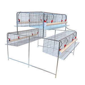 Kit Gaiola Suspensa Para Galinhas Poedeiras 48 Aves