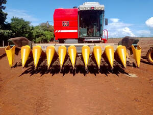 Plataforma De Milho Tatu Pmt 5050/10