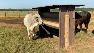 Cocho Coberto Com Reservatório - Alternativa Plásticos