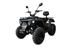 Quadriciclo M250L