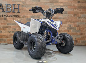 Quadriciclo Rhino