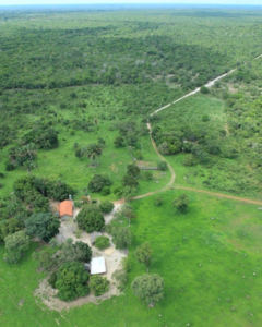 Fazenda Boa Para Abrir E Produzir