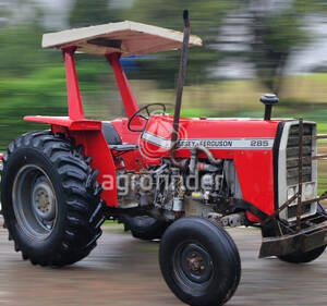 Trator Massey Ferguson 285 Ano 1985