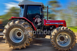 Trator Massey Ferguson 292 Ano 2003