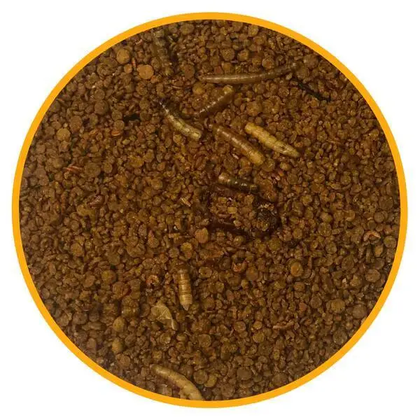 Ração Nutribiotica BUGS Farinhada de Insetos TORNEIO - 300G - 1