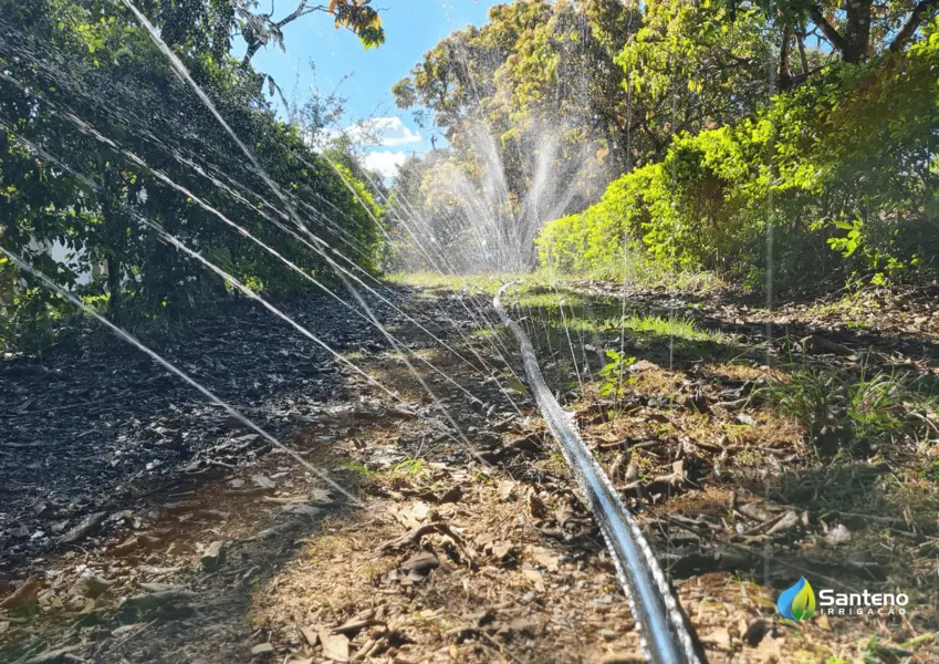 Mangueira Para Irriga O Santeno I Nortene Agrofy