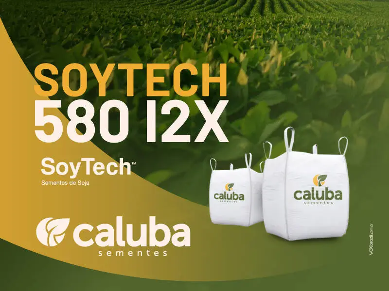 Semente de Soja - 64IX66RSF I2X (Nexus) - Bag de 800kg