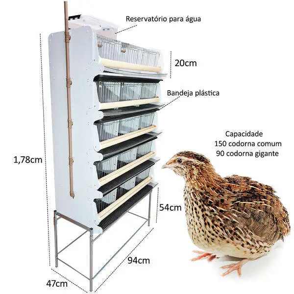 Bateria Com 5 Gaiolas Para Codornas - 2