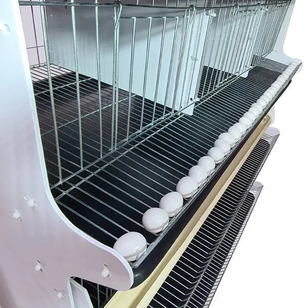 Bateria Com 5 Gaiolas Para Codornas - 3