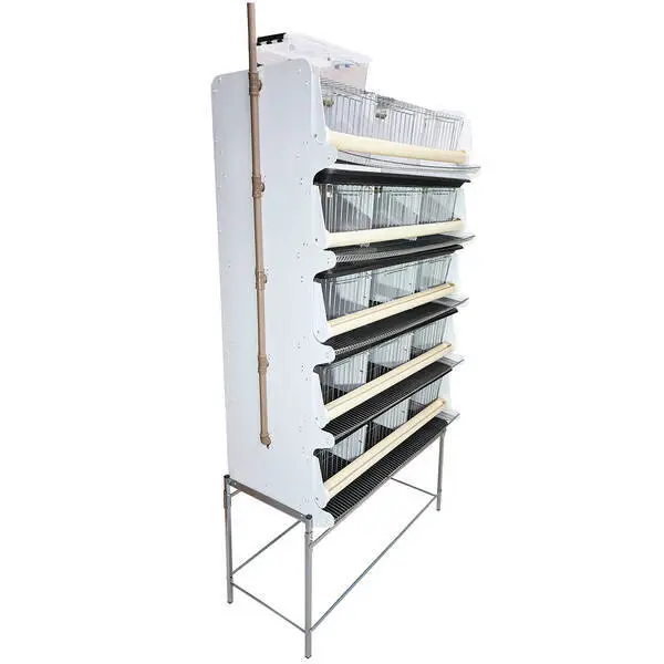 Bateria Com 5 Gaiolas Para Codornas - 4