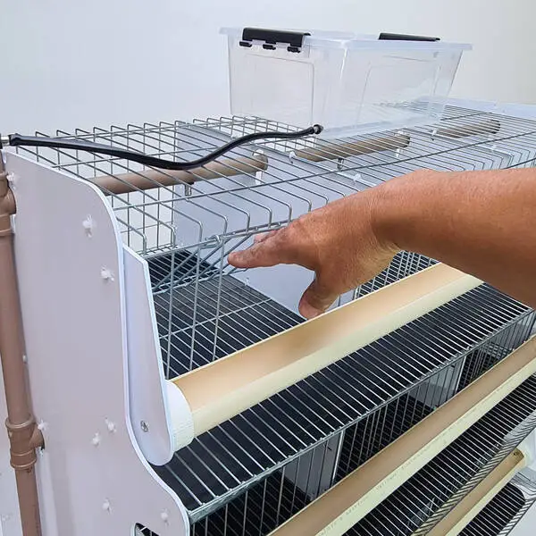 Bateria Com 5 Gaiolas Para Codornas - 8