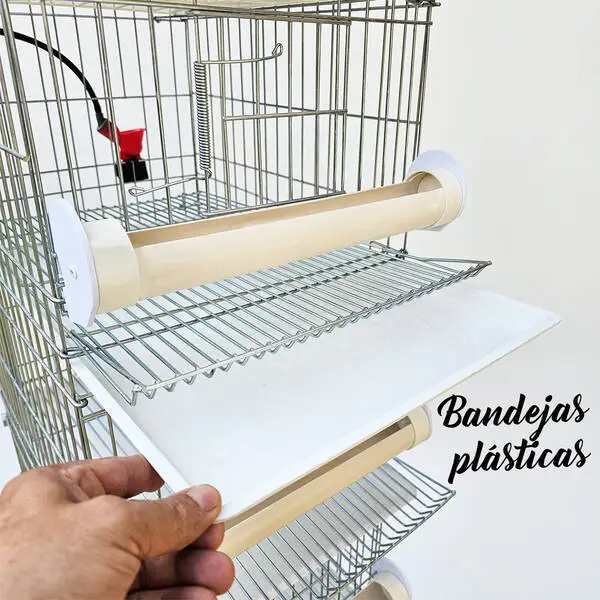Bateria De 6 Gaiolas Para Codorna - 2