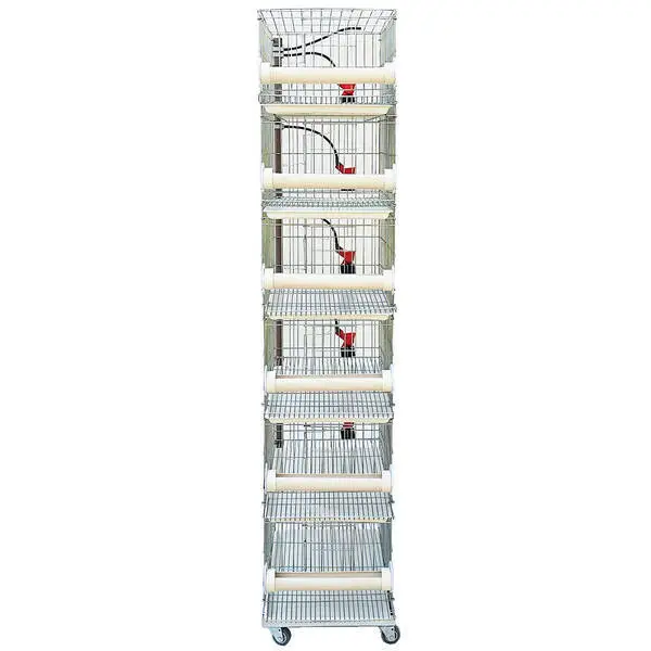 Bateria De 6 Gaiolas Para Codorna - 4