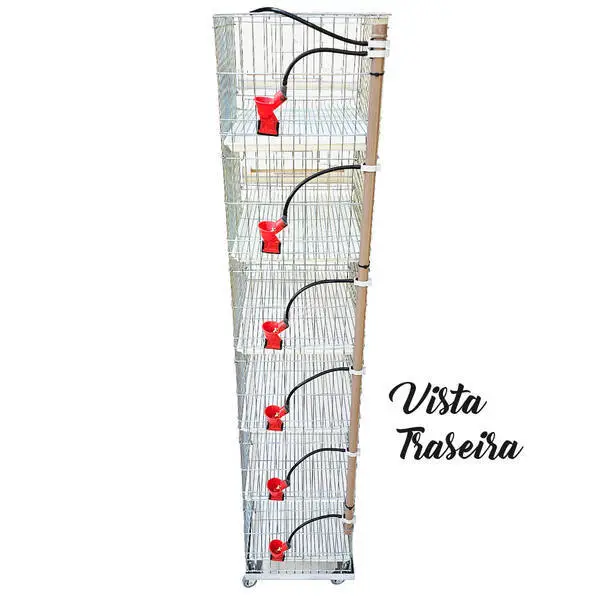 Bateria De 6 Gaiolas Para Codorna - 5