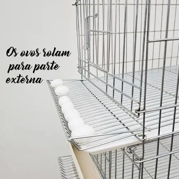 Bateria De 6 Gaiolas Para Codorna - 6