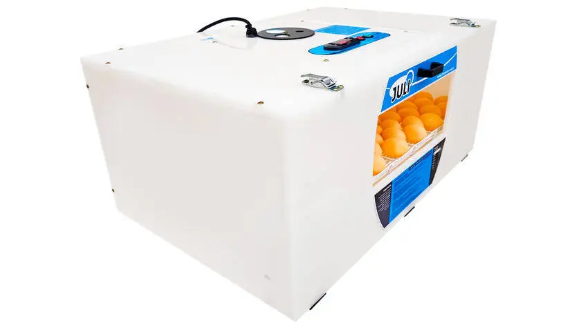 Chocadeira Automática Juli 120 Plástico Com Ovoscópio