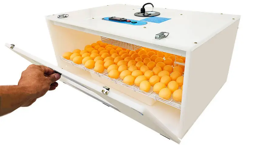 Chocadeira Automática Juli 120 Plástico Com Ovoscópio - 6